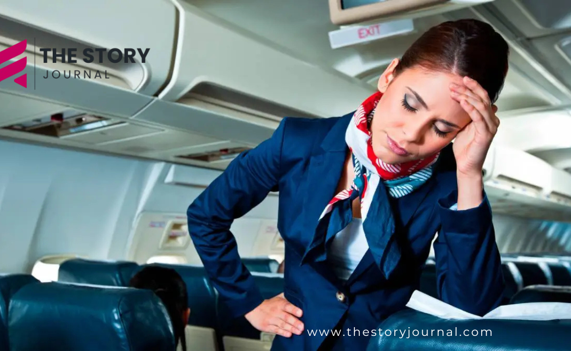 Viral Hedgehog Plane Panic on X Was Actually an Old TikTok Skit