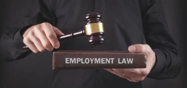 Your Guide to Hiring the Best Employment Lawyer in Brampton